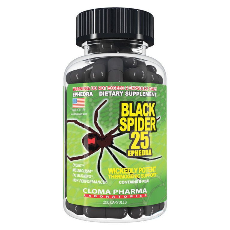 ⁦Black Spider⁩ - الصورة ⁦1⁩