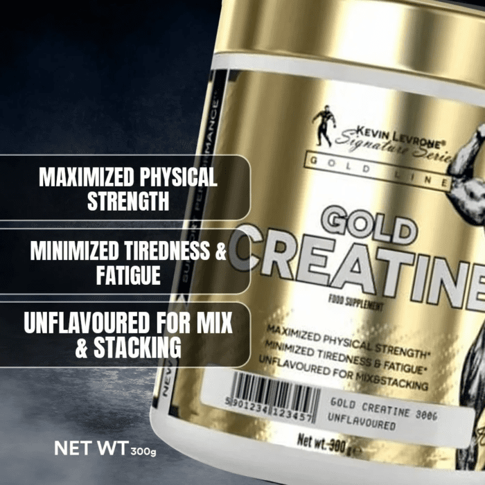 Kevin Levrone GOLD Creatine