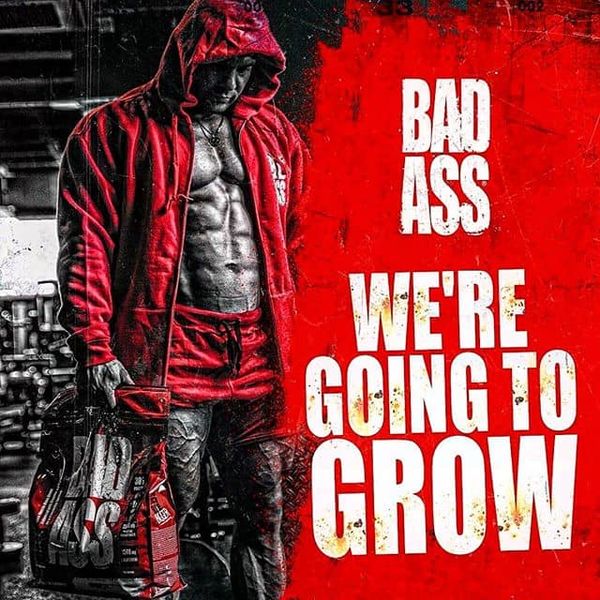 bad ass mass gainer اقوى مكمل للضخامة العضلية